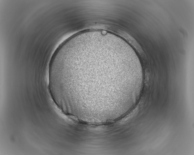 X0000111001036200907022133