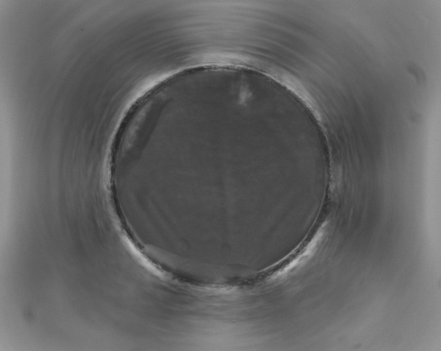 X0000111001037200907022133