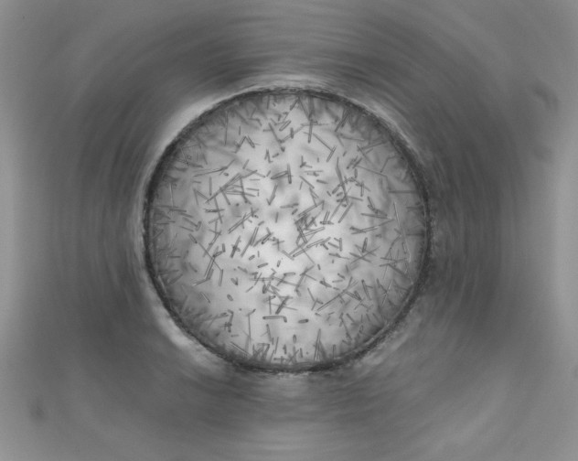 X0000111001038200907022133