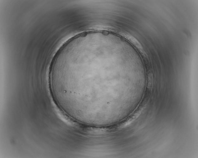 X0000111001039200907022133