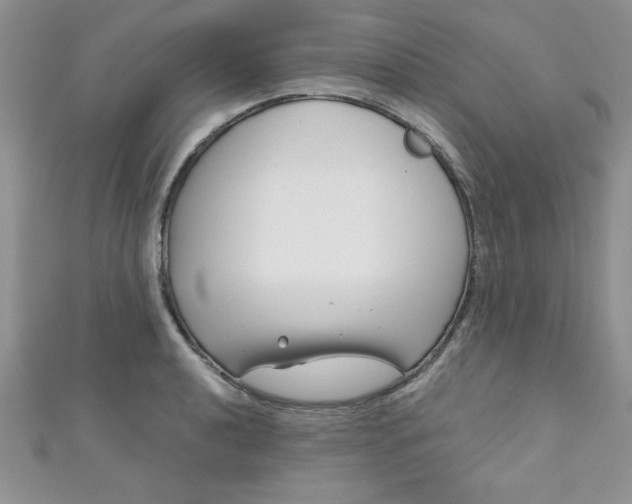 X0000111001040200907022133