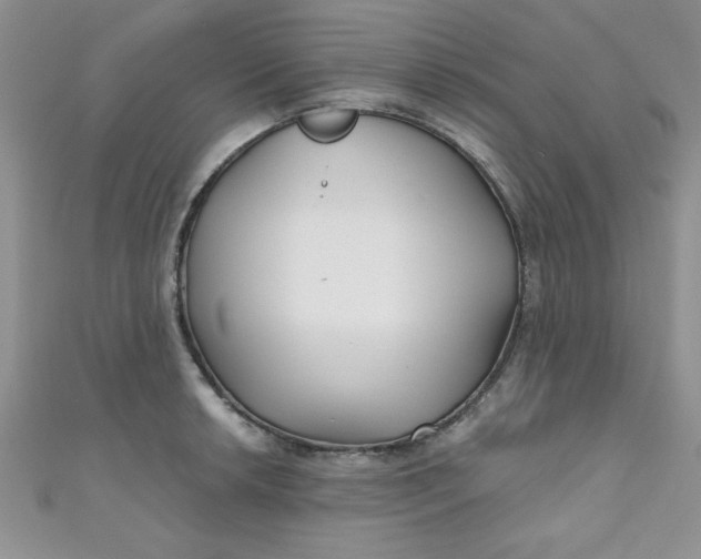 X0000111001042200907022133