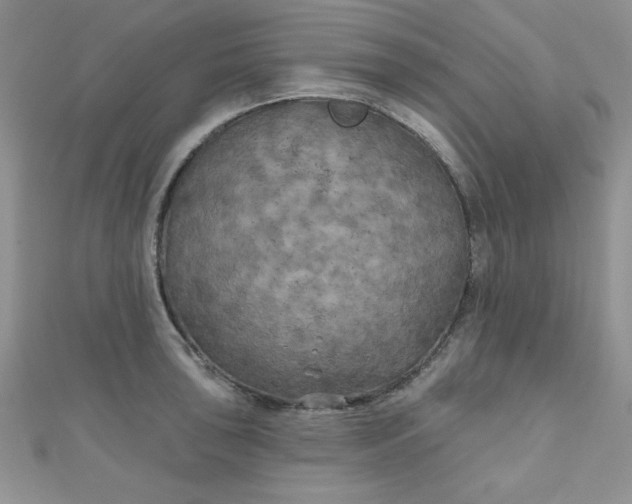 X0000111001043200907022133