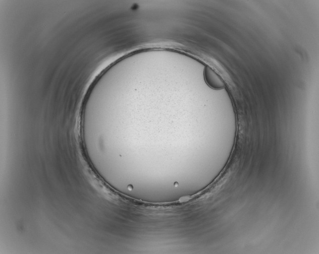 X0000111001044200907022133