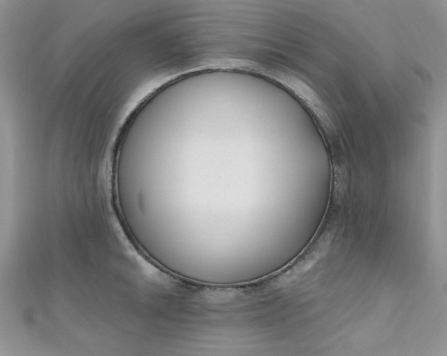 X0000111001046200907022133