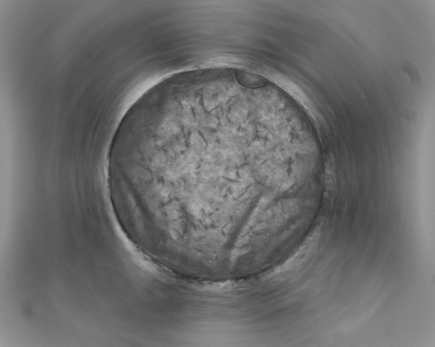 X0000111001047200907022133