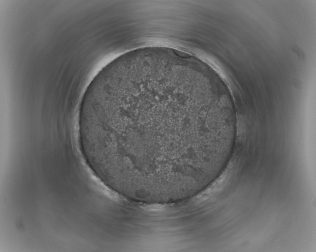 X0000111001048200907022133