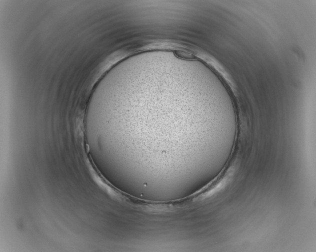 X0000111001049200907022133