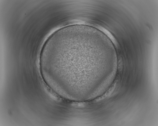 X0000111001051200907022133