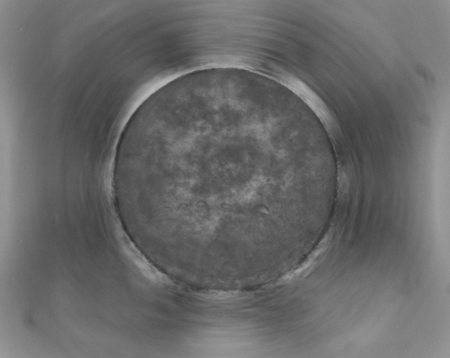 X0000111001052200907022133