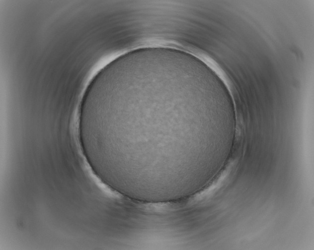 X0000111001053200907022133