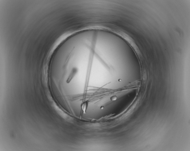 X0000111001054200907022133