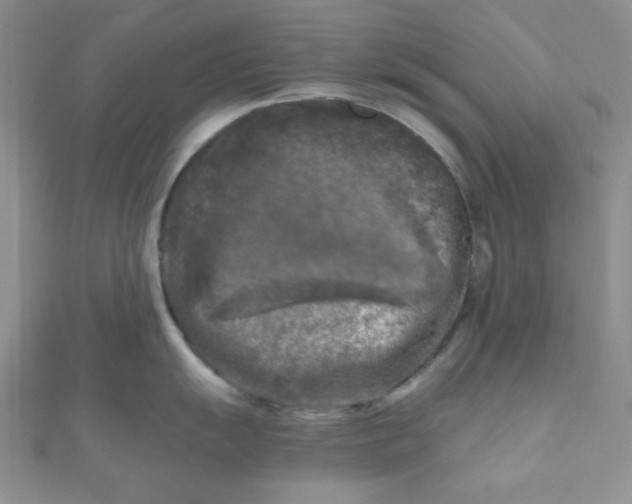 X0000111001055200907022133