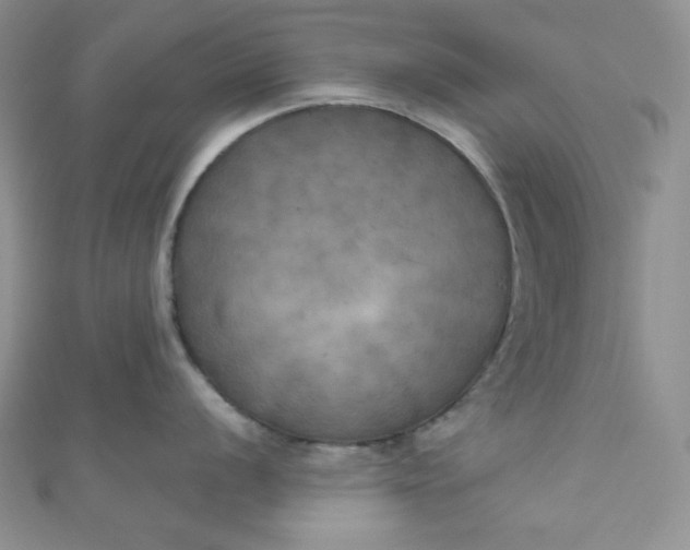 X0000111001056200907022133