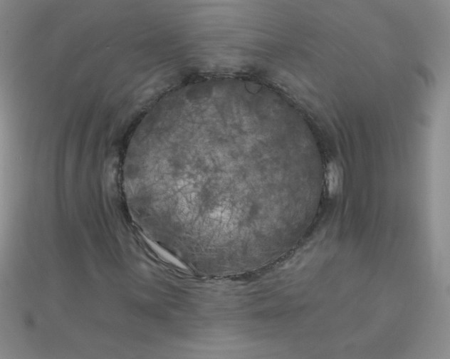 X0000111001059200907022132