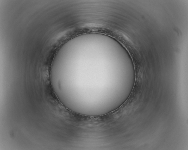 X0000111001062200907022132