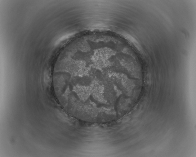 X0000111001063200907022132