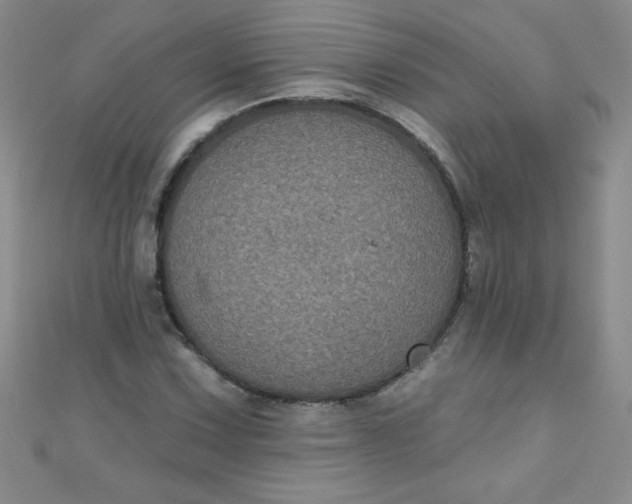 X0000111001067200907022132