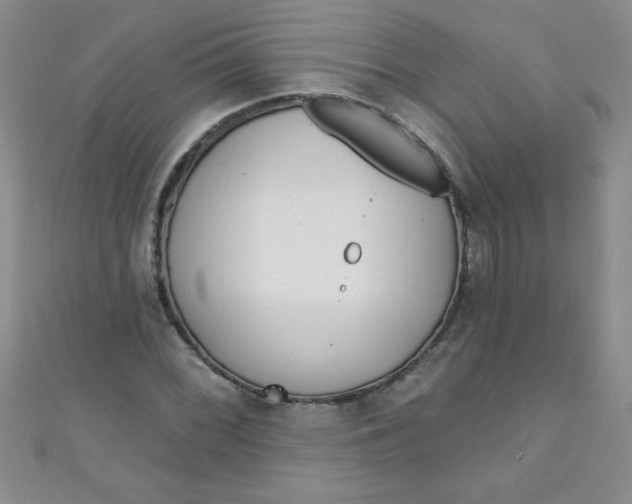 X0000111001068200907022132