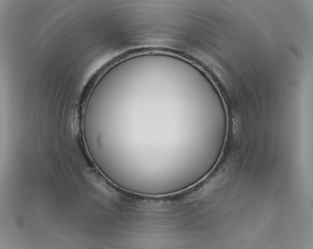 X0000111001069200907022132