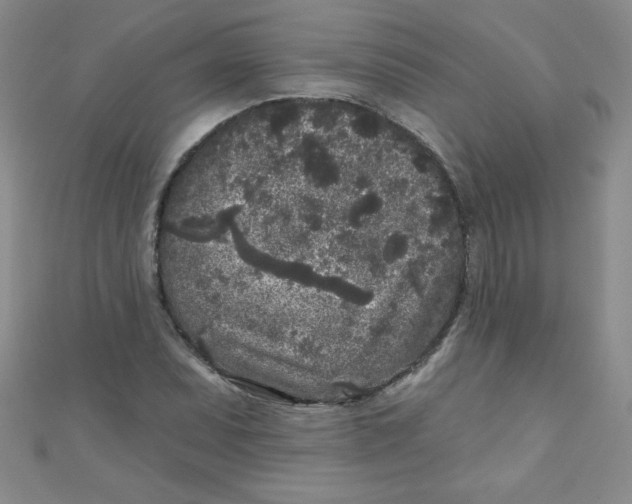 X0000111001071200907022132