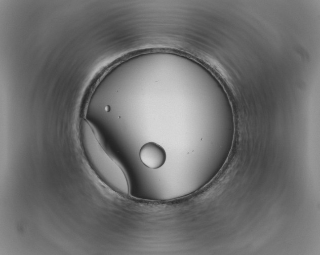 X0000111001072200907022132