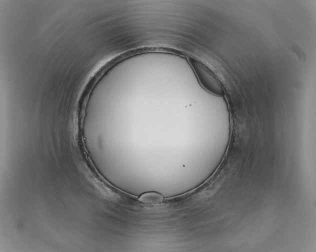 X0000111001076200907022132