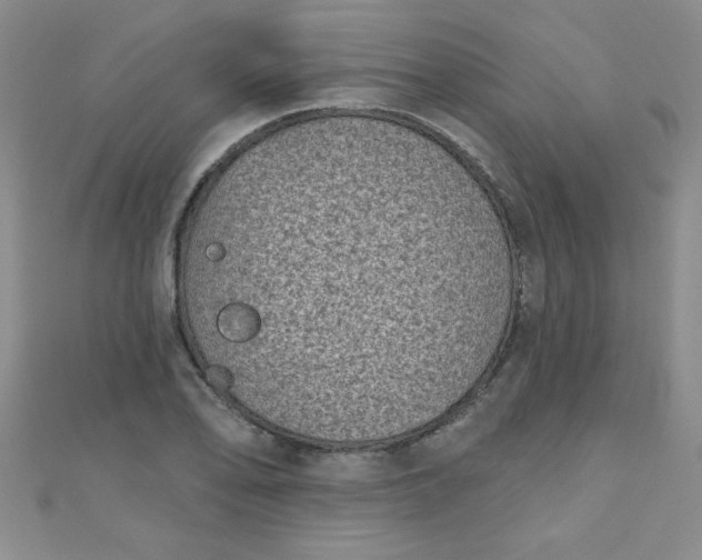 X0000111001078200907022132