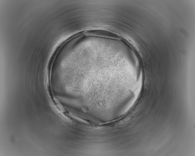 X0000111001080200907022132