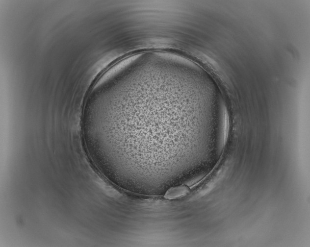 X0000111001081200907022132