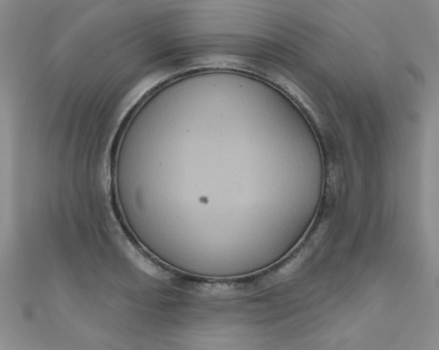 X0000111001082200907022132