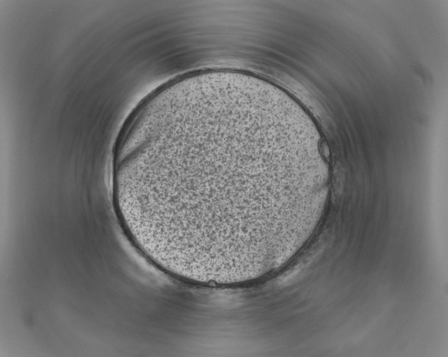 X0000111001084200907022132