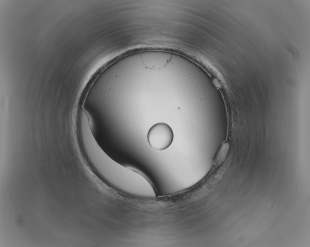 X0000111001085200907022132