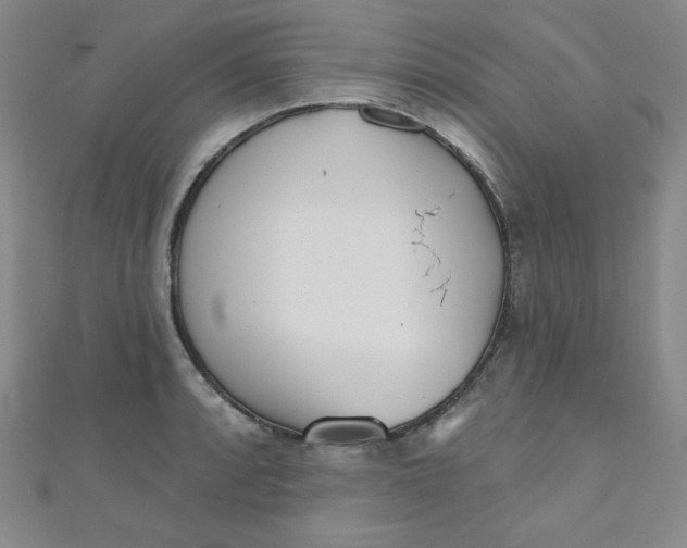 X0000111001088200907022132