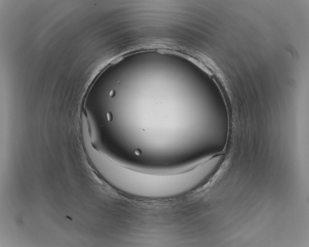 X0000111001089200907022132