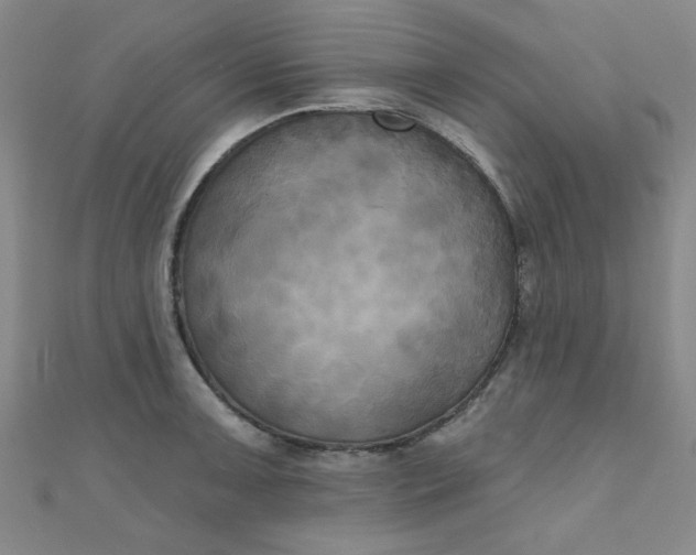 X0000111001091200907022132