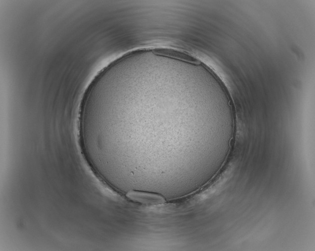 X0000111001093200907022132