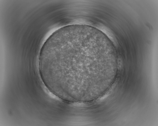 X0000111001094200907022132