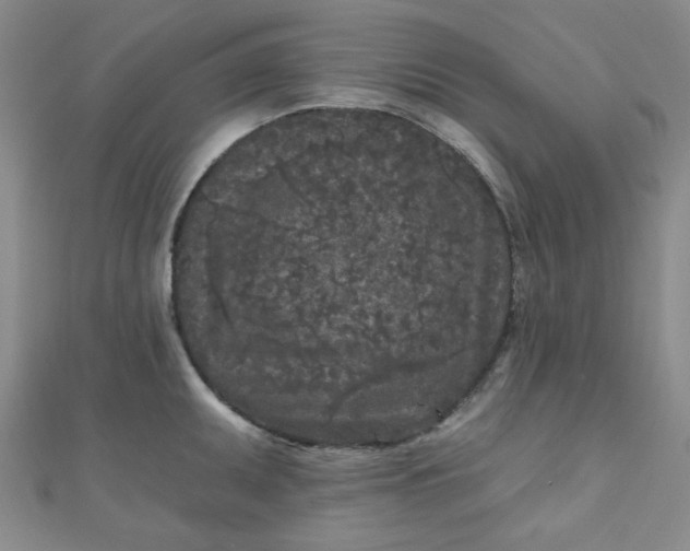 X0000111001095200907022132