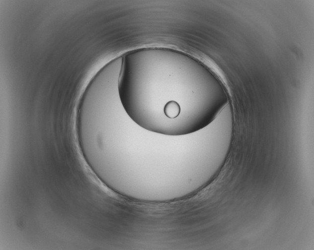 X0000111001096200907022131