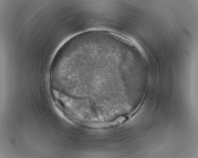 X0000111001100200907022131