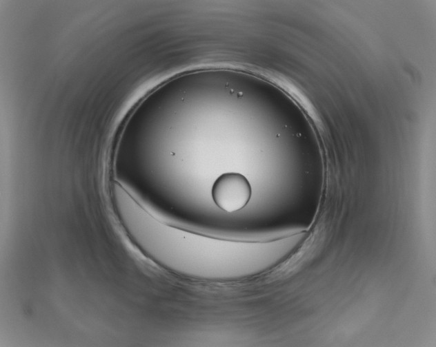 X0000111001101200907022131