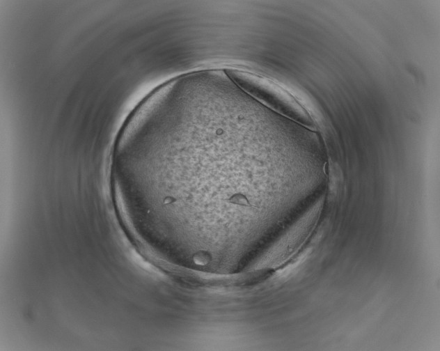 X0000111001102200907022131