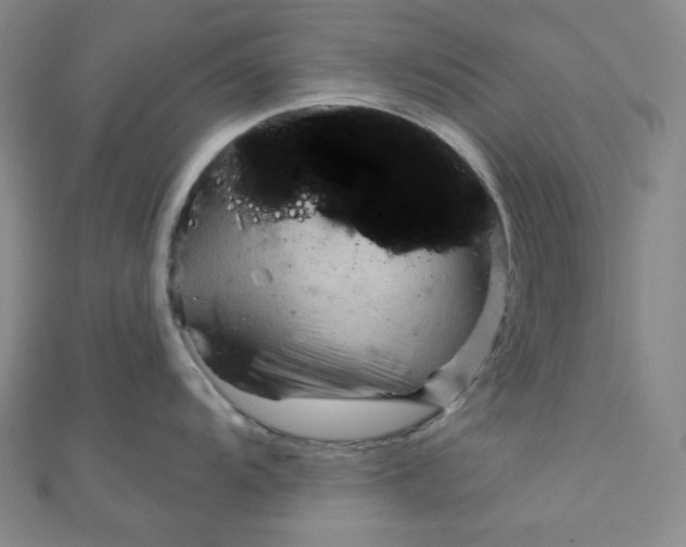 X0000111001104200907022131