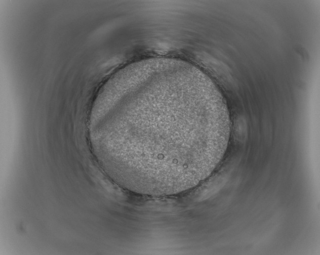 X0000111001105200907022131