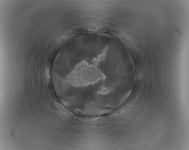 X0000111001106200907022131