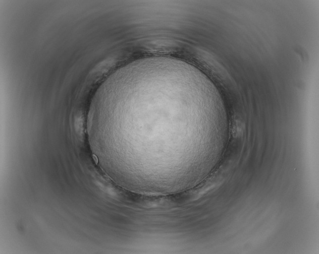 X0000111001108200907022131