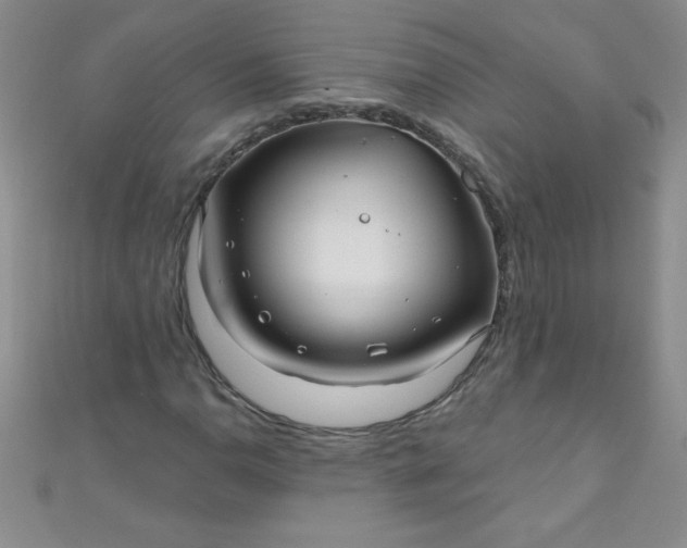 X0000111001110200907022131