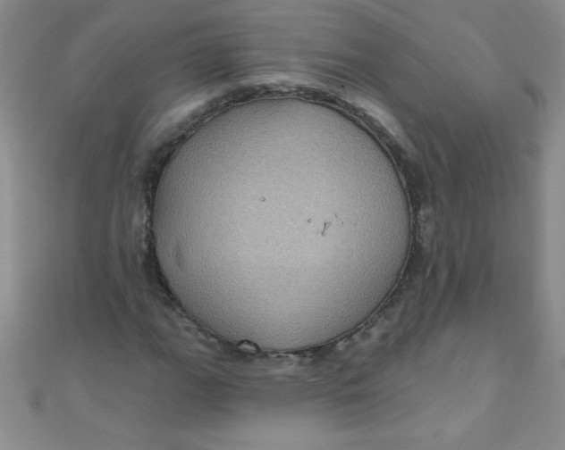 X0000111001111200907022131