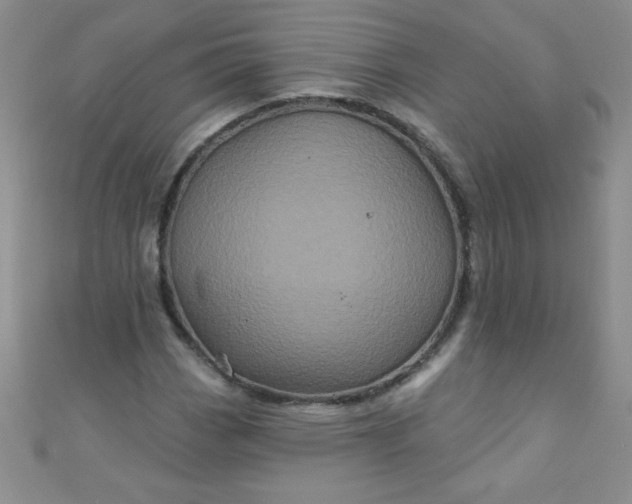 X0000111001113200907022131